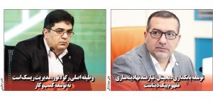وظیفه اصلی رگولاتور، مدیریت ریسک است نه توسعه کسب‌‌وکار